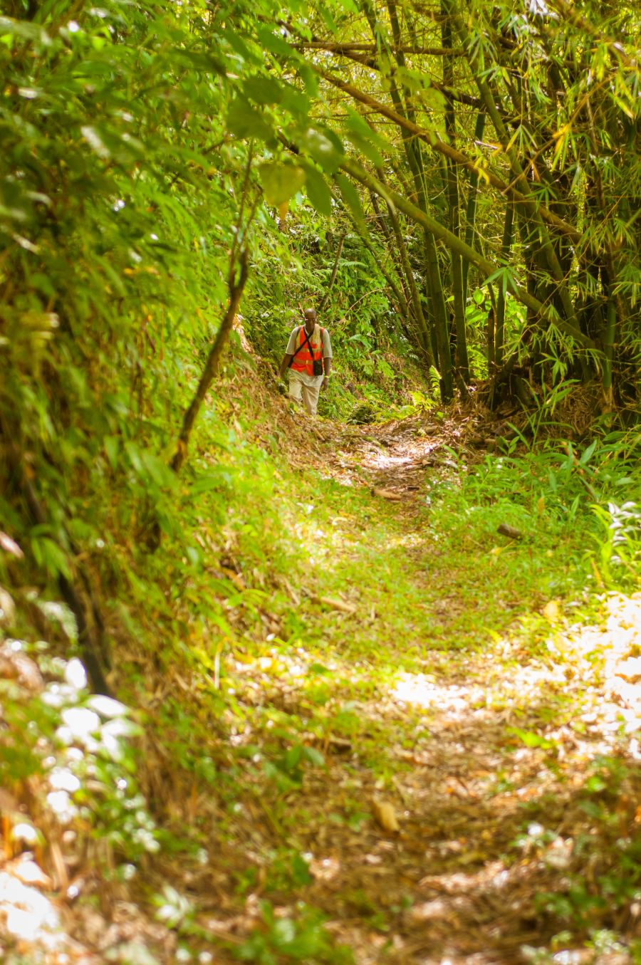 Hike.Cunha Cunha Pass Trail 2900x1350